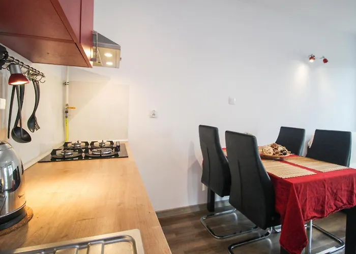 Stare „wild Cat Ii” Apartment Lublin